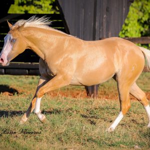 0CBCEA8E-9BDF-4D8A-97EF-EE7379F03651