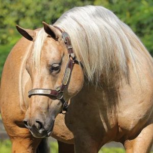 2BABFAE4-E203-4933-83D3-B63EBE53E60F