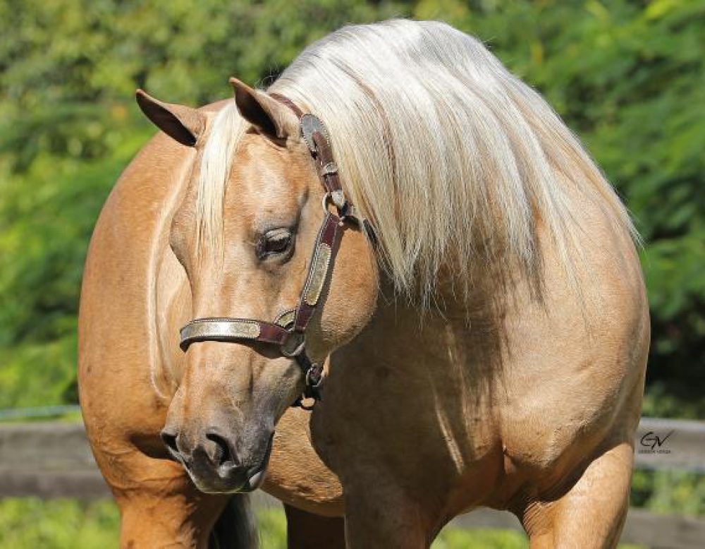 2BABFAE4-E203-4933-83D3-B63EBE53E60F