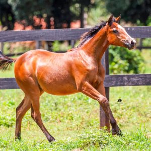 2aa09d66-9bfb-4c10-90e4-5352236109bf