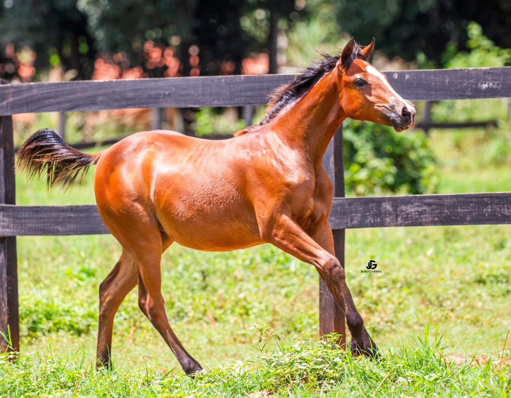 2aa09d66-9bfb-4c10-90e4-5352236109bf