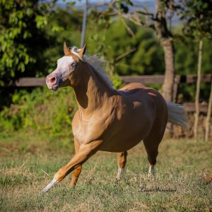 3EAD58EB-576A-4AB5-8FA9-46F3FF05D24B