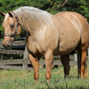 430DAED9-7CD0-4691-B527-63AD466F5CDB