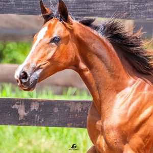 48b6fa22-a659-44f8-9c04-68bbdf5a643f