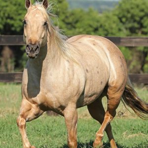 694A5F88-A362-48AE-8210-74C3D221814E