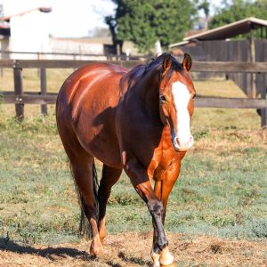 6E08F671-A070-40F7-85E9-9B0EE7B1ECBA