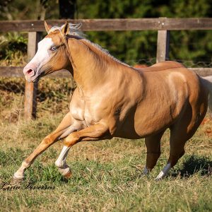 7A131DCF-CC76-440C-A553-51268DE3366C