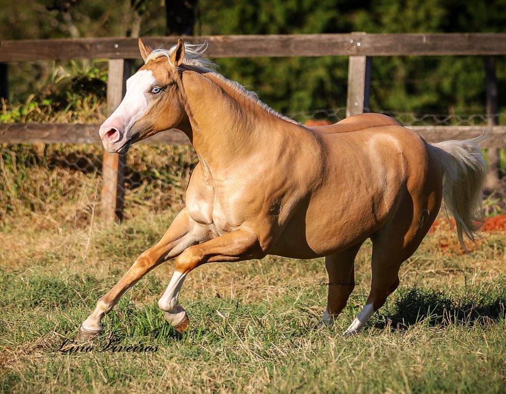 7A131DCF-CC76-440C-A553-51268DE3366C