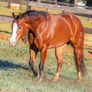 9030FA2D-1B43-4731-82CF-EA6B8F507379