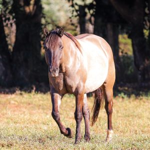 C3FAE6BB-64ED-4B94-86C0-B48B15396EA5