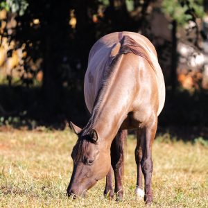 C67347D3-613A-43AD-BF69-30CCBF9D03CE