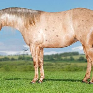 E6026727-3045-489C-AA72-70A3FBBC94FE