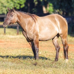 EC4E75FC-BFBD-40E2-B08E-236F7D21FC39