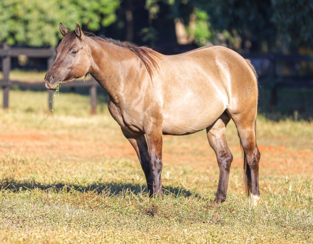 EC4E75FC-BFBD-40E2-B08E-236F7D21FC39