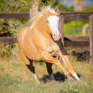 EF2C6CBE-7565-4C5B-AC0E-84E8AF6AE249