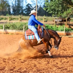 WhatsApp Image 2025-05-26 at 15.20.41 (2)