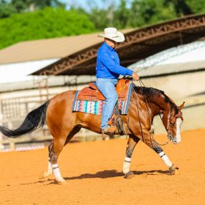 WhatsApp Image 2025-05-26 at 15.20.41