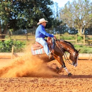 WhatsApp Image 2025-05-26 at 15.20.43 (1)