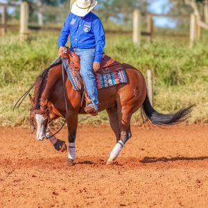 WhatsApp Image 2025-05-26 at 15.20.43