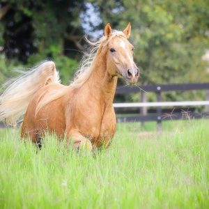 WhatsApp Image 2025-06-25 at 11.12.57