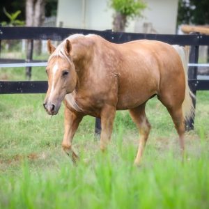 WhatsApp Image 2025-06-25 at 11.12.58 (2)