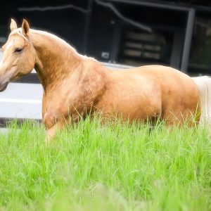 WhatsApp Image 2025-06-25 at 11.12.58 (3)