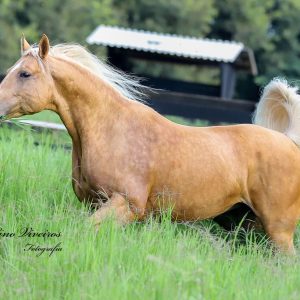 WhatsApp Image 2025-06-25 at 11.12.58 (4)