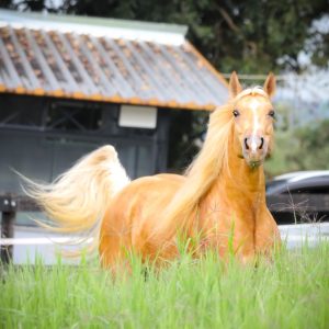 WhatsApp Image 2025-06-25 at 11.12.58