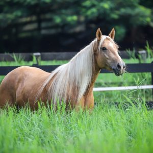 WhatsApp Image 2025-06-25 at 11.12.59