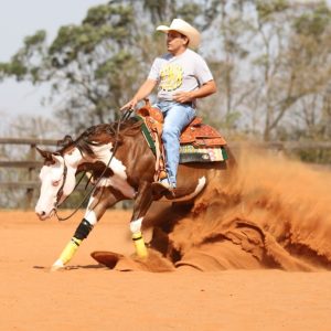 WhatsApp Image 2025-06-25 at 11.16.27 (1)