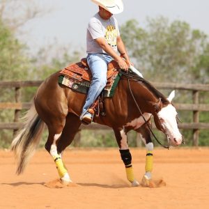 WhatsApp Image 2025-06-25 at 11.16.27 (3)