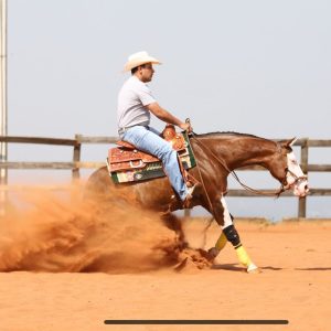 WhatsApp Image 2025-06-25 at 11.16.28