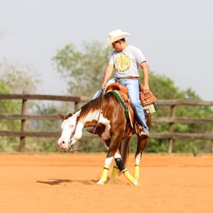 WhatsApp Image 2025-06-25 at 11.16.29 (1)