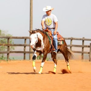 WhatsApp Image 2025-06-25 at 11.16.29 (2)