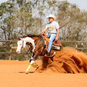 WhatsApp Image 2025-06-25 at 11.16.30