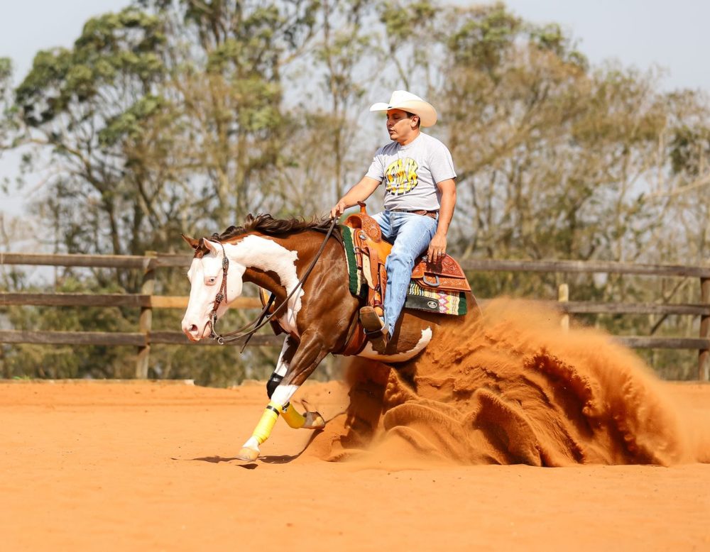 WhatsApp Image 2025-06-25 at 11.16.30