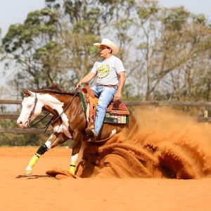 WhatsApp Image 2025-06-25 at 11.16.32