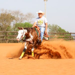 WhatsApp Image 2025-06-25 at 11.16.34 (1)