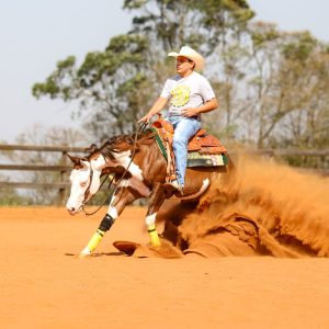 WhatsApp Image 2025-06-25 at 11.16.34