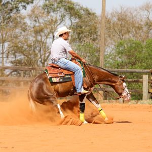 WhatsApp Image 2025-06-25 at 11.16.37