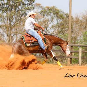 WhatsApp Image 2025-06-25 at 11.16.39