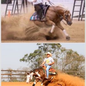 WhatsApp Image 2025-06-30 at 11.23.19 (1)