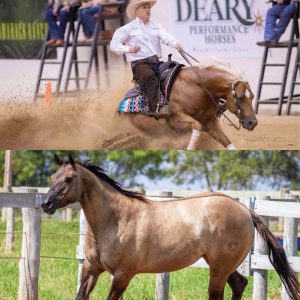 WhatsApp Image 2025-06-30 at 11.23.20