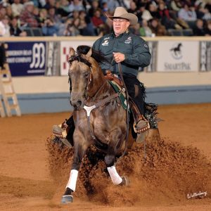 Whizkey-N-Diamonds-Stop-NRHA-09SM