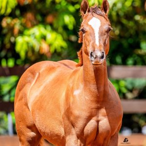 ee34f10f-4af7-4861-93e5-e6d8f308194e