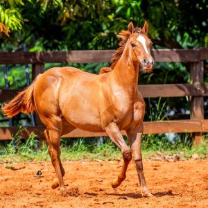 fdd7ec4c-1d1c-452d-a251-8084cb8851ed