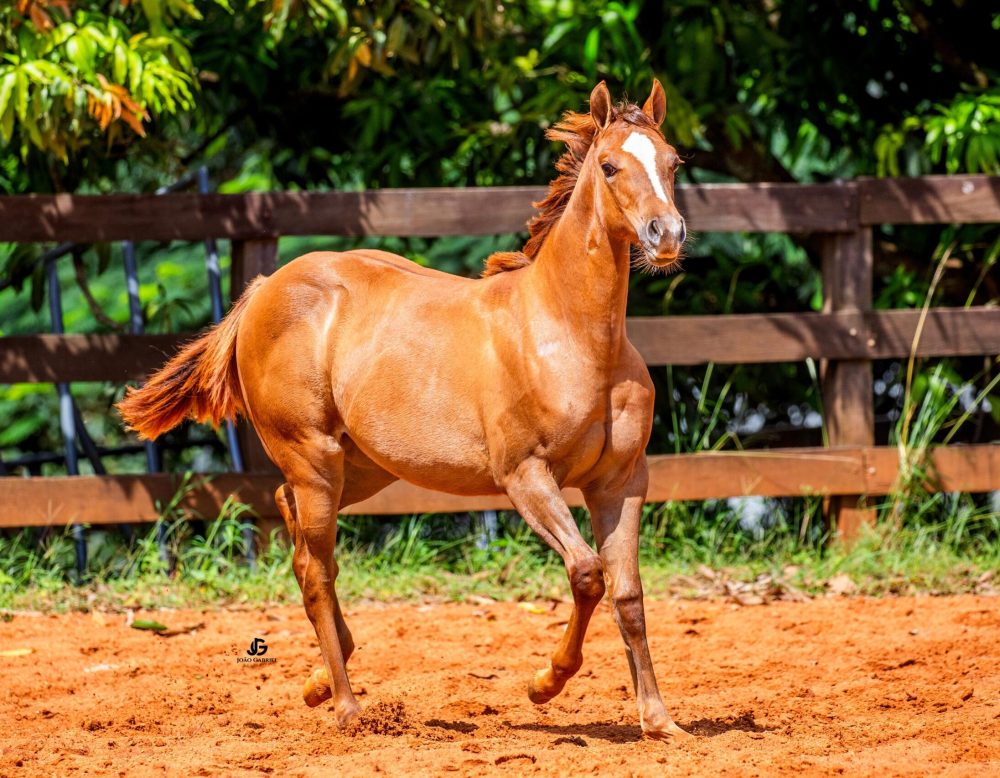 fdd7ec4c-1d1c-452d-a251-8084cb8851ed