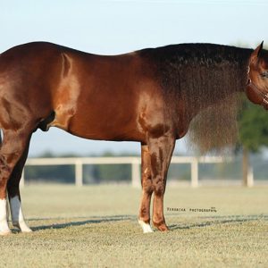 lil-joe-cash-profile-sm