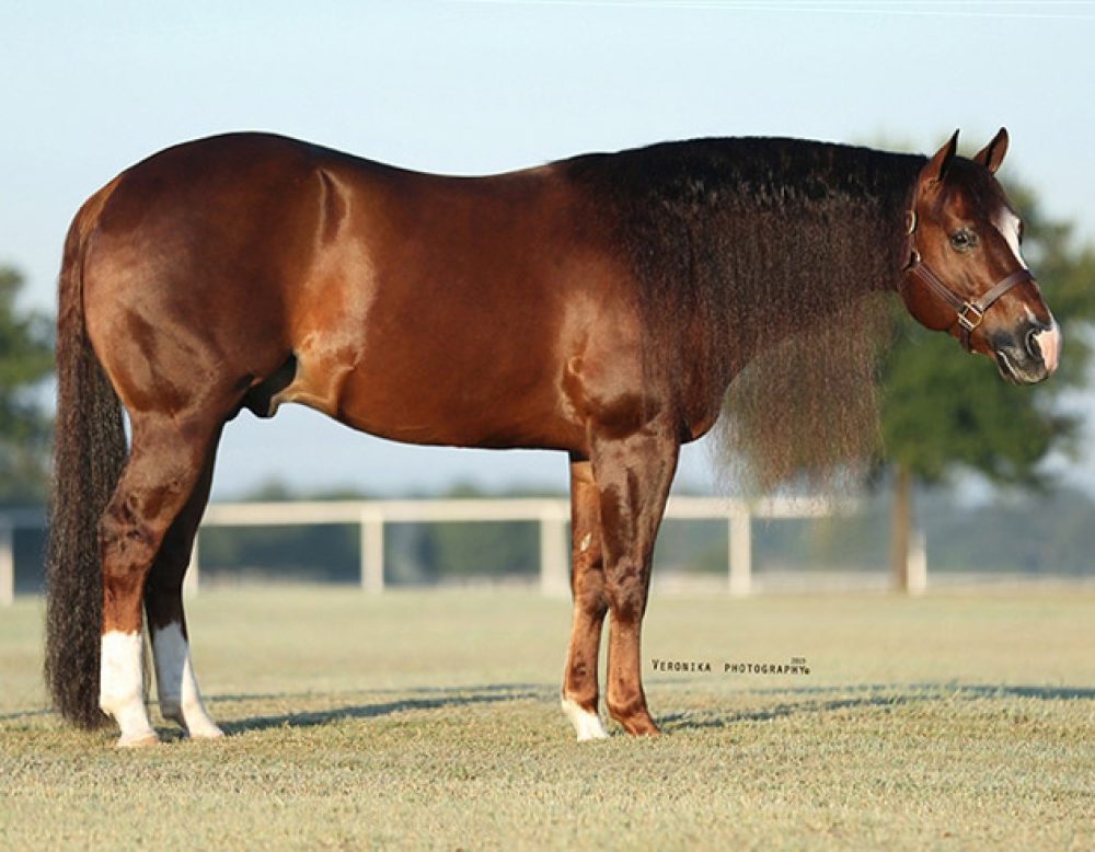 lil-joe-cash-profile-sm